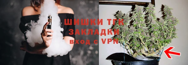 прущий лед Горняк