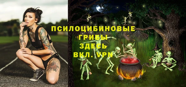 прущий лед Горняк