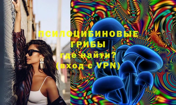 гашиш Вяземский